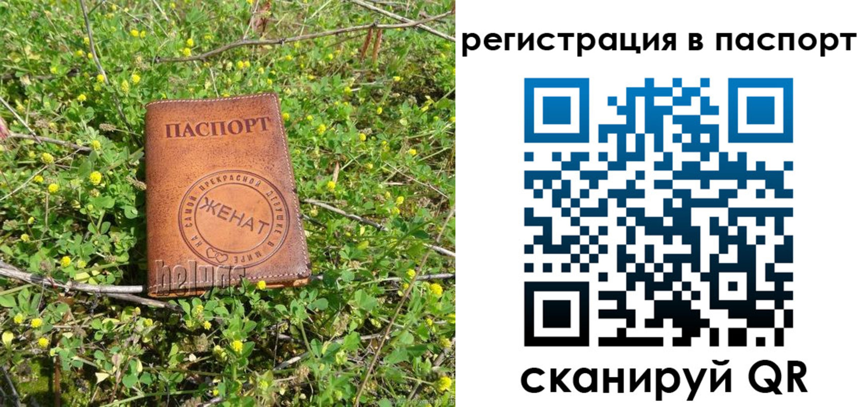прописка законно в Аткарске